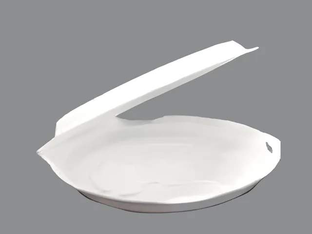 ANI 14A Kapaklı Pizza Tabağı